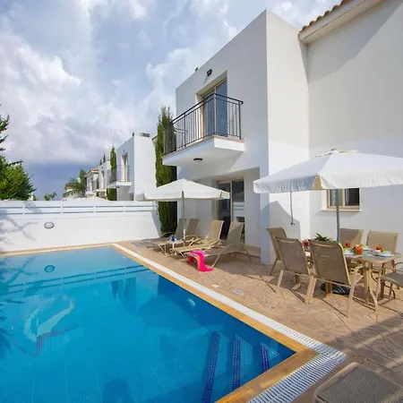 Banana Palm 42 *
