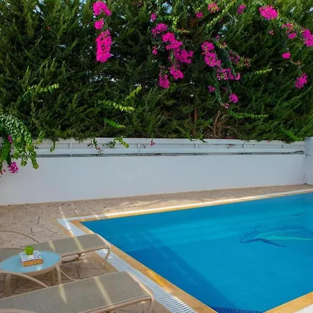 Villa Banana Palm 42 *