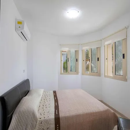 Banana Palm 42 * Protarász